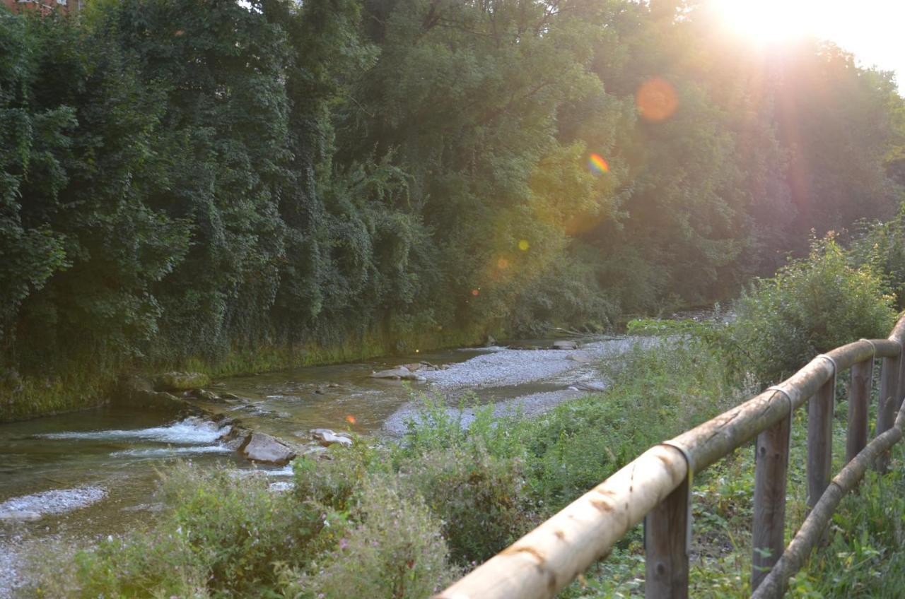 Casetta Next To The Creek Sebastiano Ricci Belluno Exterior foto